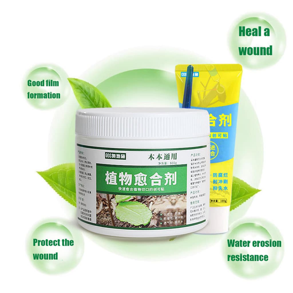 ของมาใหม่！ยาทาแผลต้นไม้ 500g ป้องกันการติดเชื้อ ช่วยผสานแผล แถมแปรง รูปที่ 3