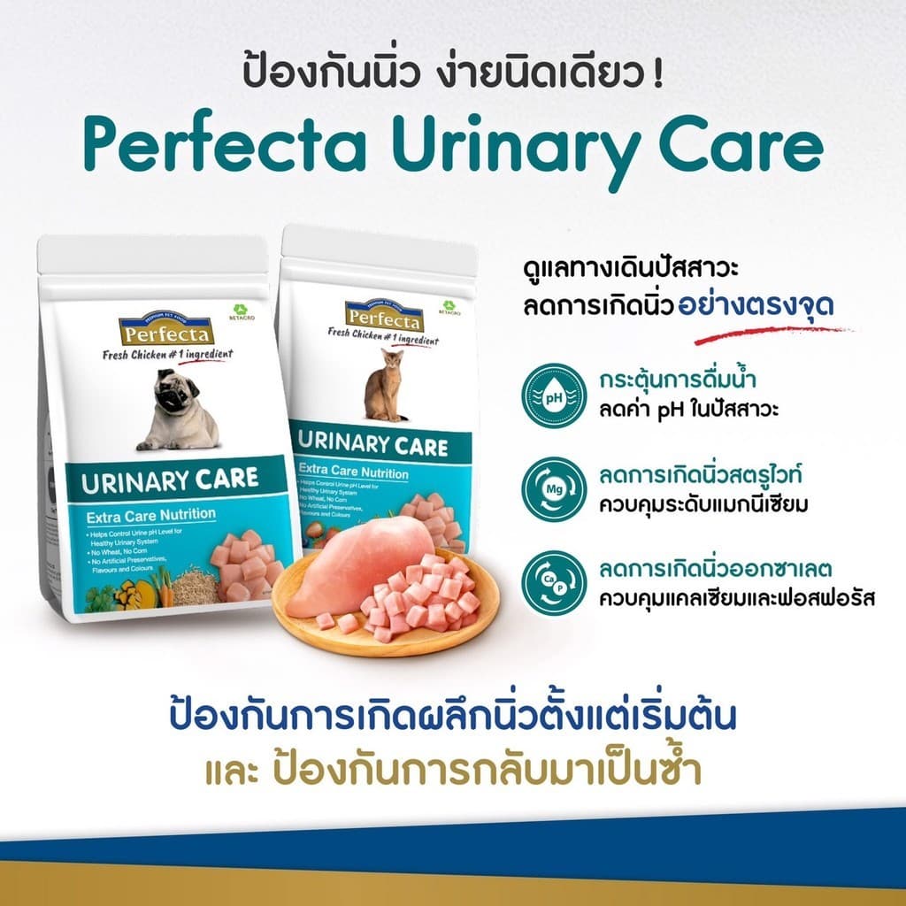 Perfecta เพอร์เฟคต้า อาหารแมวขนาด 1-1.2 กิโลกรัม รูปที่ 7