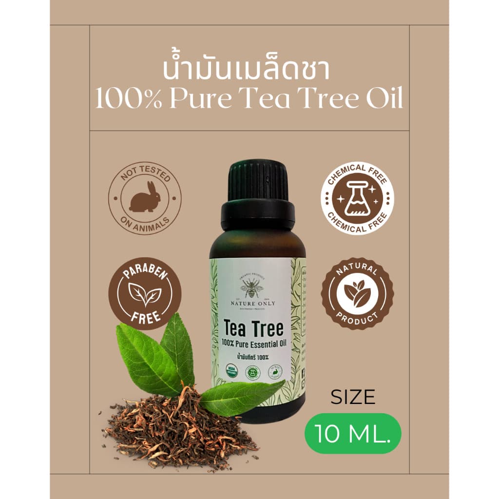 Tea Tree Oil 100% น้ำมันเมล็ดชา หรือน้ำมัน ทีทรี ออย 100% ขนาด 10 มล/30 มล. รูปที่ 2