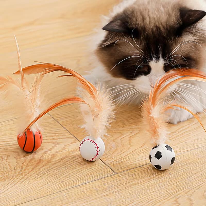 Cat Teaser Bouncy Ball with Feathers and Molar Fun Self-fun To บรรเทาความเบื่อหน่าย ของเล่นแมวที่น่าสนใจที่มีสีสันผลิตภัณฑ์สําหรับสัตว์เลี้ยง รูปที่ 4