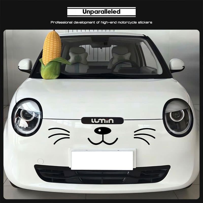 สติ๊กเกอร์หน้ารถ CHANGAN LUMIN อุปกรณ์ตกแต่งรถ ชุดแต่งรถ รุ่น BU34 รูปที่ 6