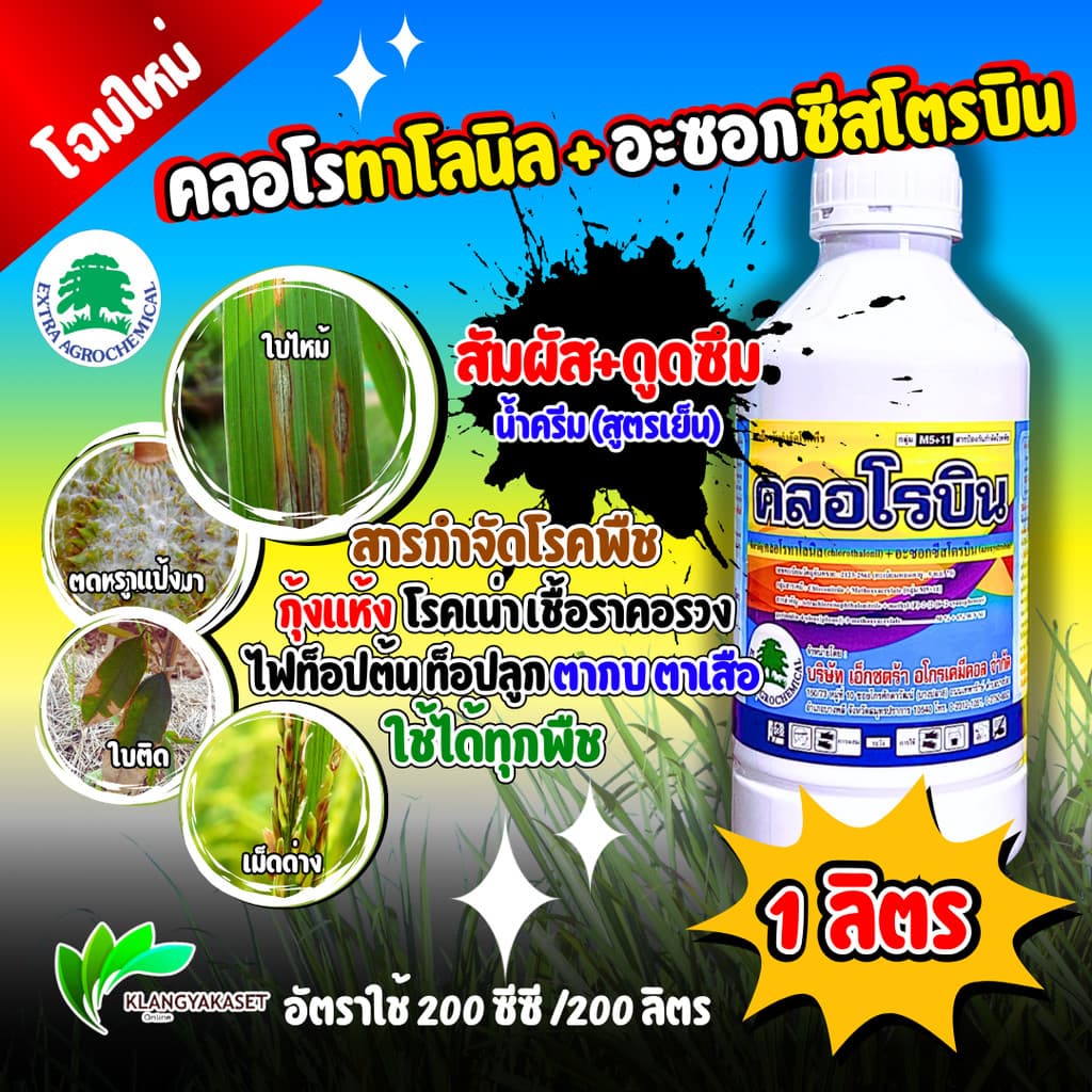 คลอโรบิน ขนาด 1 ลิตร คลอโรทาโลนิล +อะซอกซีสโตรบิน เรดโรบิน ป้องกันกำจัดเชื้อราออกฤทธิ์ทั้ง สัมผัส และดูดซึม โรคใบไหม้ รูปที่ 1