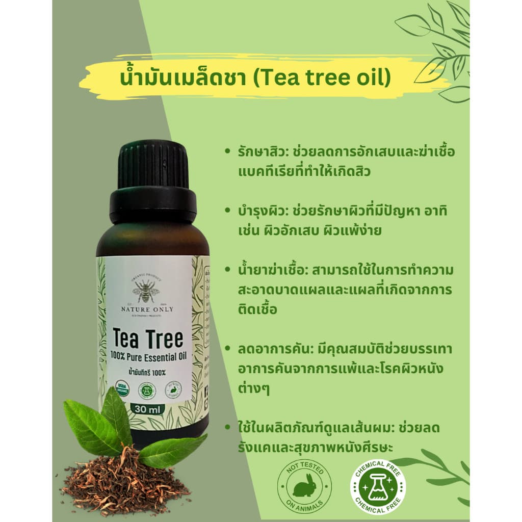 Tea Tree Oil 100% น้ำมันเมล็ดชา หรือน้ำมัน ทีทรี ออย 100% ขนาด 10 มล/30 มล. รูปที่ 4
