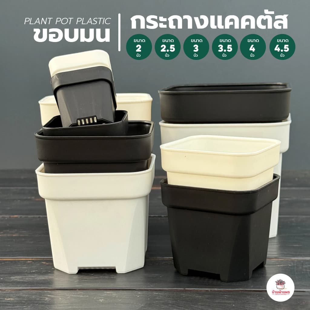 กระถางแคคตัส DP ขอบมน กระถางพลาสติก กระถางต้นไม้ กระบองเพชร ไม้อวบน้ำ Cactus&Succulent รูปที่ 1