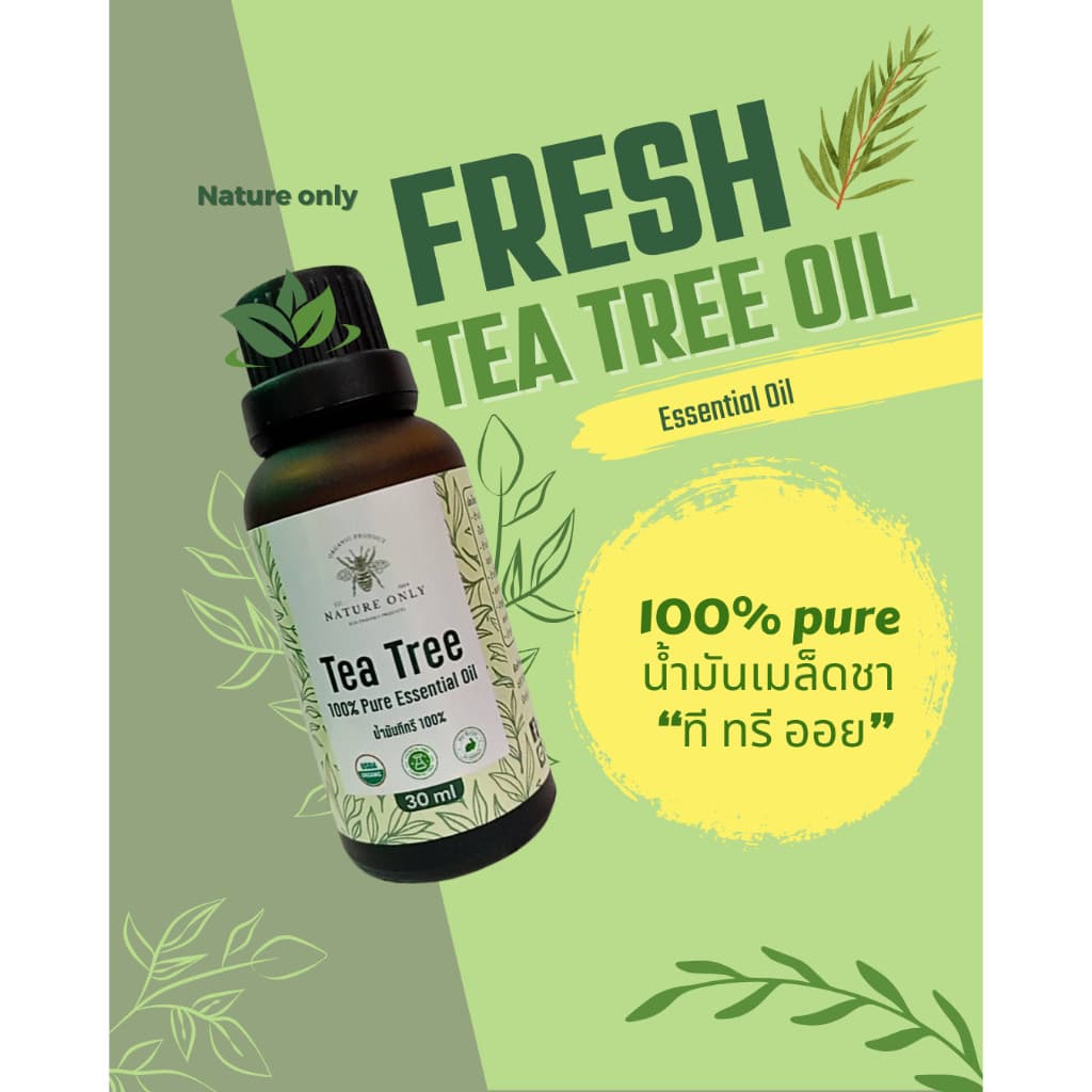Tea Tree Oil 100% น้ำมันเมล็ดชา หรือน้ำมัน ทีทรี ออย 100% ขนาด 10 มล/30 มล. รูปที่ 3