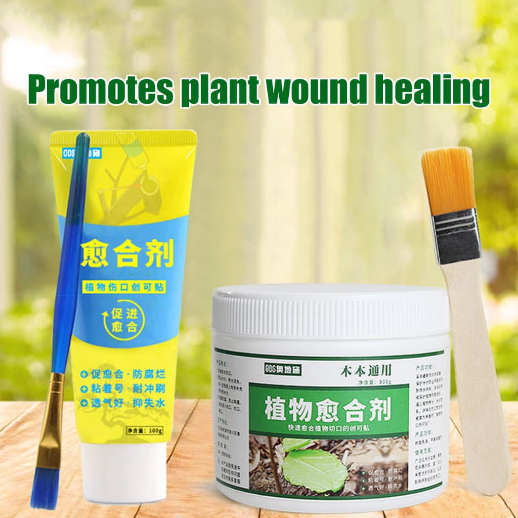 ของมาใหม่！ยาทาแผลต้นไม้ 500g ป้องกันการติดเชื้อ ช่วยผสานแผล แถมแปรง รูปที่ 7