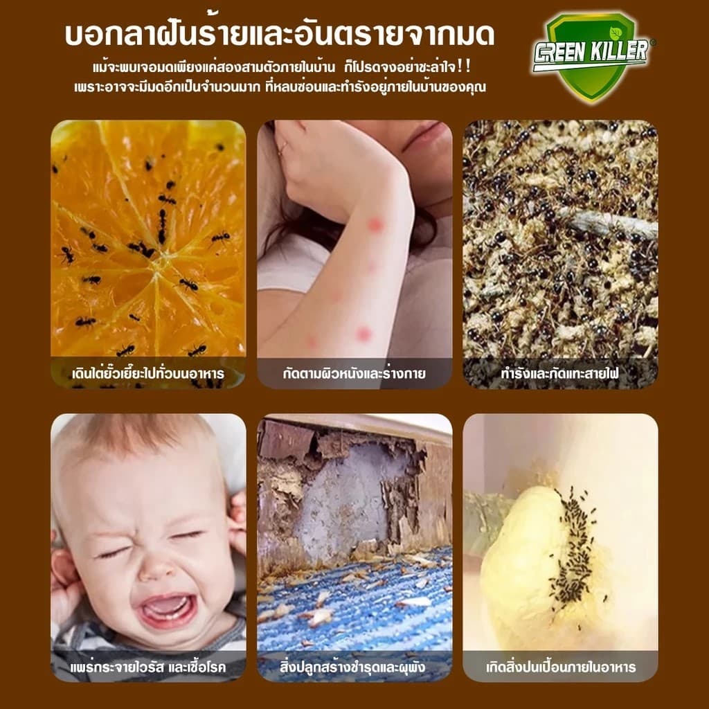 กำจัดมด ยาฆ่ามด ฆ่าตายยกลัง ฆ่ามดได้ทุกสายพันธุ์ ปลอดภัยต่อคน รูปที่ 2