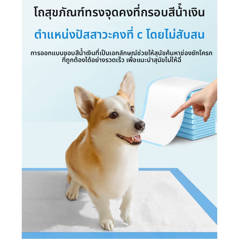 SKSISOPGO แผ่นรองฉี่สุนัข แผ่นรองฉี่แมว แผ่นรองซับ ช่วยฝึกขับถ่าย ซึมซับได้ดี 200PCSต่อต้านแบคทีเรีย รูปที่ 4