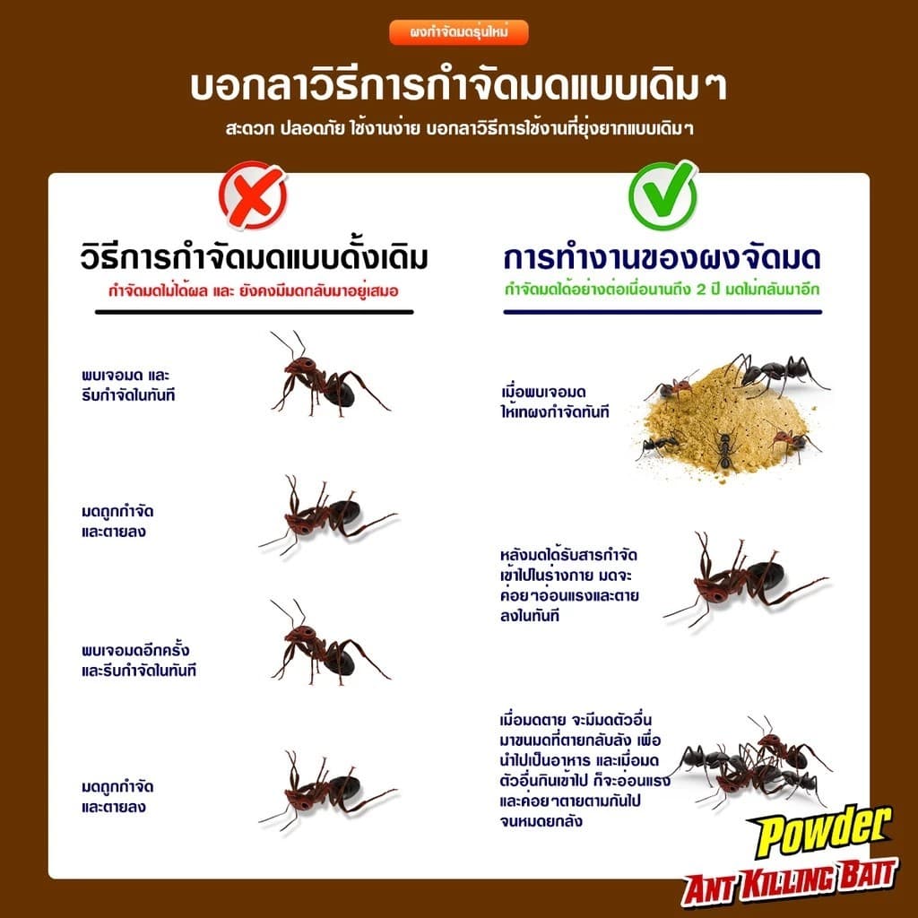 กำจัดมด ยาฆ่ามด ฆ่าตายยกลัง ฆ่ามดได้ทุกสายพันธุ์ ปลอดภัยต่อคน รูปที่ 3