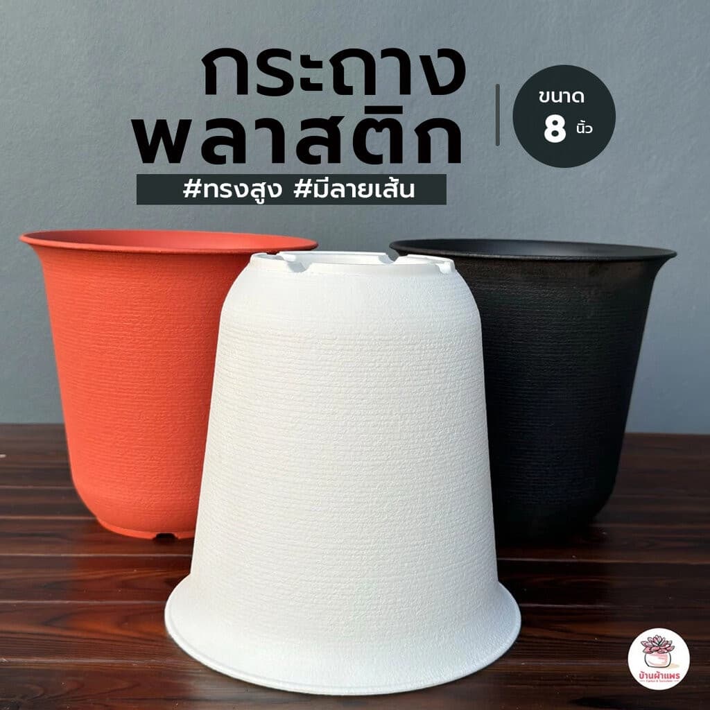 กระถางพลาสติก 6นิ้ว - 8นิ้ว #ทรงถ้วยมีลายเส้น กระถางพลาสติก กระถางแคคตัส กระถางกระบองเพชร รูปที่ 6