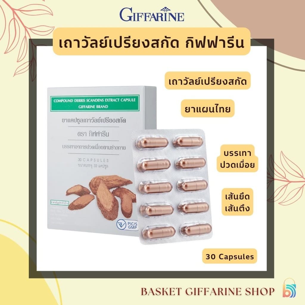 เถาวัลย์เปรียงสกัด กิฟฟารีน ยาแคปซูลเถาวัลย์เปรียงสกัด ยาแผนไทย รูปที่ 1