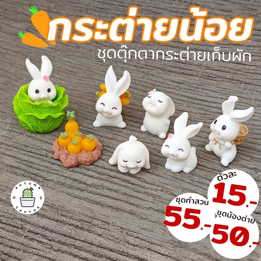 ตุ๊กตากระต่าย ชุดกระต่ายเก็บผัก ตุ๊กตาประดับกระถาง แต่งสวน ตั้งโช ขนาดเล็ก น่ารัก รูปที่ 1