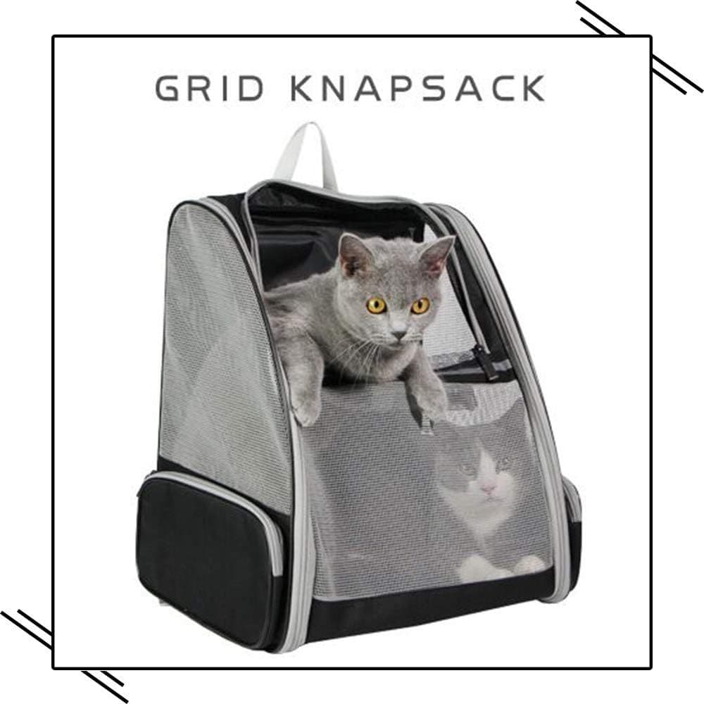 Cat Dog Backpack กระเป๋าเป้แมว กระเป๋าใส่สัตว์เลี้ยงสำหรับสุนัขและแมว ลูกสุนัข ตาข่ายระบายอากาศได้เต็มที่ รูปที่ 6