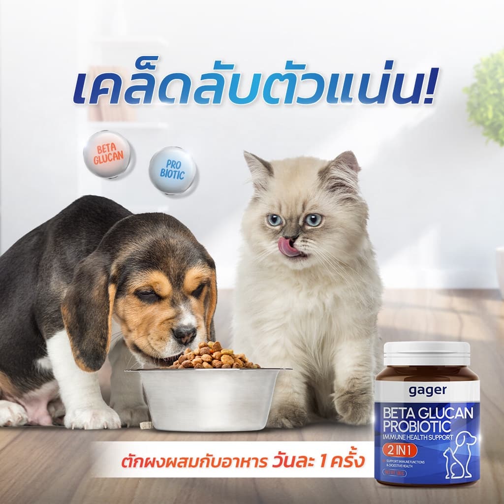 Gager กาเจอร์ ผงโรยข้าวเบต้ากลูแคนผสมโปรไบโอติก วิตามินสำหรับสัตว์เลี้ยง เสริมสร้างภูมิคุ้มกัน ตัวแน่น รูปที่ 7