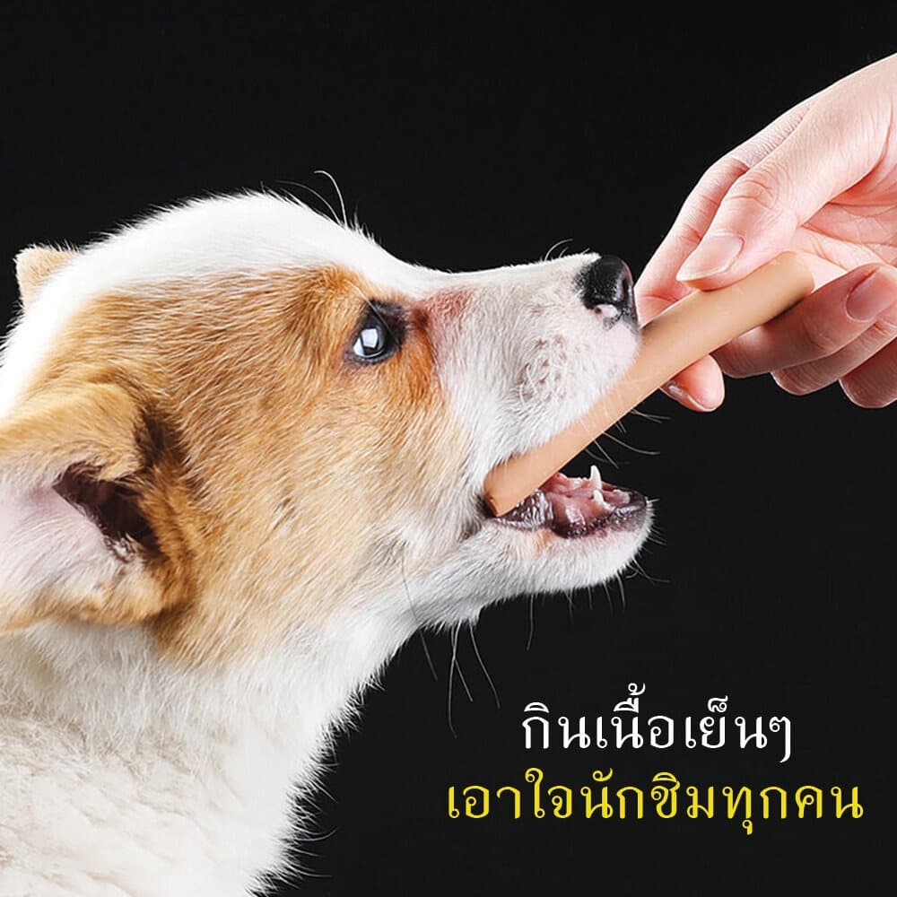 ไส้กรอกแฮมสุนัขอาหารหมา อาหารแมว ขนมแมว ขนมสุนัขแปรรูปจากเนื้อ เป็ด ไก่ ปลา Dog Food Dog Snacks รูปที่ 6