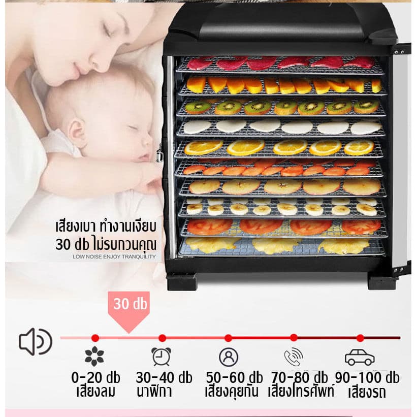 เครื่องอบผลไม้ จุได้เยอะ 5-12 ชั้น Food Dryers ตู้อบผลไม้แห้ง ปรับความร้อนได้ เตาอบลมร้อน ตู้อบแห้ง รูปที่ 2