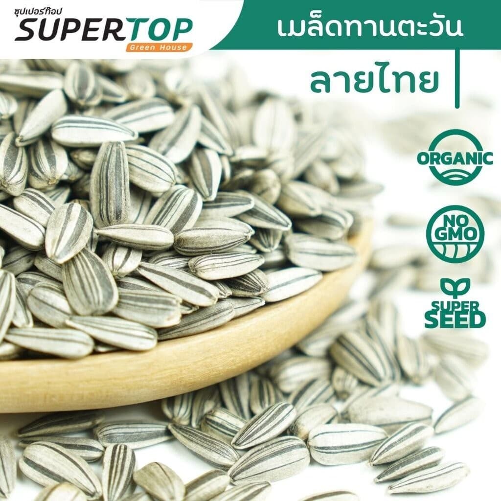 เมล็ดเพาะต้นอ่อน ทานตะวันลายไทย SUPERTOP | ขนาด 1 KG. รูปที่ 2