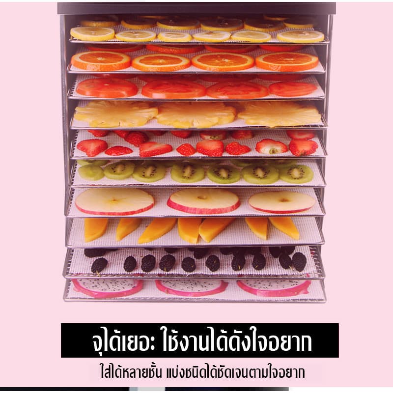 เครื่องอบผลไม้ จุได้เยอะ 5-12 ชั้น Food Dryers ตู้อบผลไม้แห้ง ปรับความร้อนได้ เตาอบลมร้อน ตู้อบแห้ง รูปที่ 3