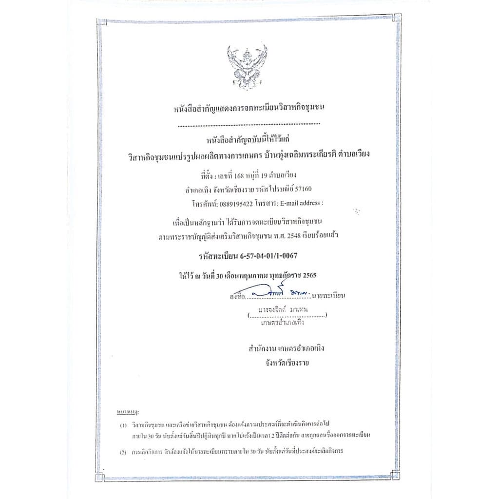 ใบรางจืด Laurel clockvine 100% 60cap. คุณภาพดี รูปที่ 2