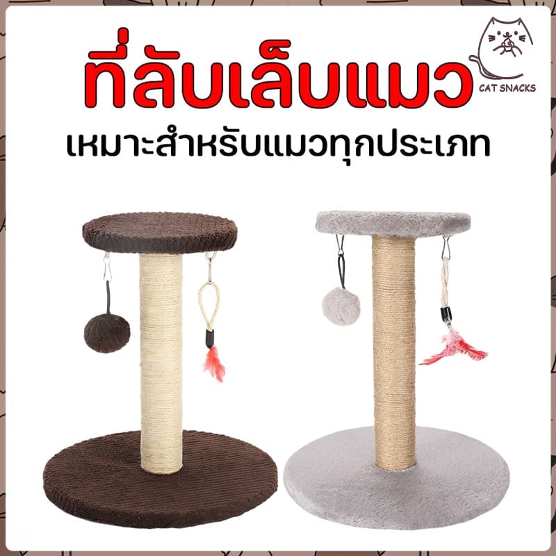 ฝนเล็บแมว คอนโดแมว คอนโดแมว ที่ลับเล็บแมว ที่ฝนเล็บแมว ลับเล็บแมว คอนโดแมวเล็ก ของเล่นแมว รูปที่ 1