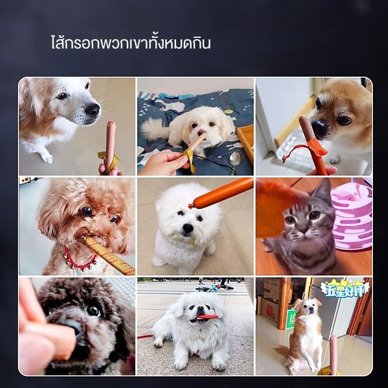 ไส้กรอกแฮมสุนัขอาหารหมา อาหารแมว ขนมแมว ขนมสุนัขแปรรูปจากเนื้อ เป็ด ไก่ ปลา Dog Food Dog Snacks รูปที่ 7