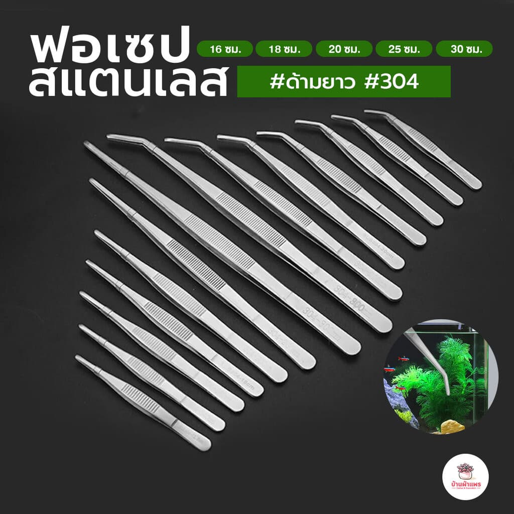 ฟอเซปด้ามยาว ฟอร์เซบสแตนเลส #304 Forcep ฟอเซป ปากคีบ อุปกรณ์ช่วยปลูกต้นไม้ แคคตัส กระบองเพชร cactus&succulent รูปที่ 1