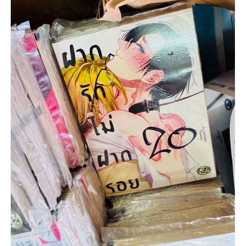 การ์ตูน วาย พิมพ์ใหม่ล่าสุด คัทวาย ซีแอนเอ้น CN มือหนึ่ง คละเรื่อง ลดพิเศษ 20 บาท หนังสือ มังงะ y yaoi เกย์ ชายรักชาย รูปที่ 7