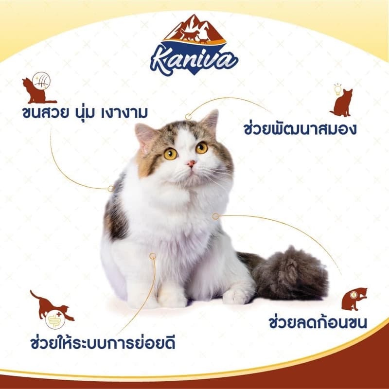 Kaniva ยกกระสอบ อาหารแมวคานิว่า อาหารเม็ดแมวโซเดียมต่ำ สำหรับทุกช่วงวัย ขนาด 6-10 kg รูปที่ 7