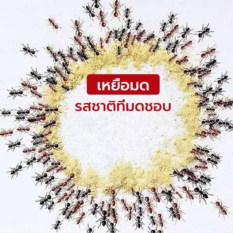 กำจัดมด ยาฆ่ามด ฆ่าตายยกลัง ยากันมด ฆ่ามดได้ทุกสายพันธุ์ ตายยกลัง เห็นผลเร็ว ปลอดภัยต่อคน รูปที่ 9