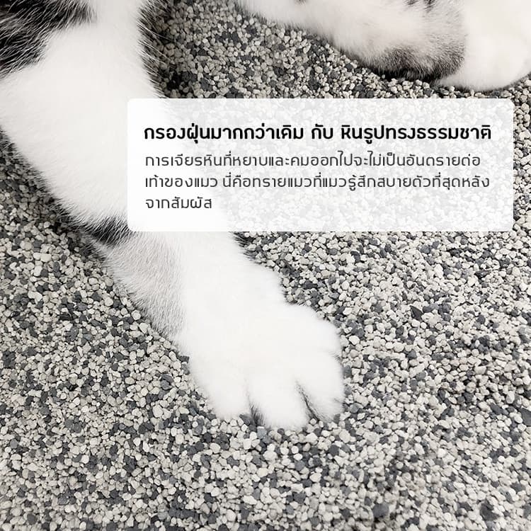 ทรายแมว SOOZAND ขนาด 10 ลิตร / 1 ถุง รูปที่ 5