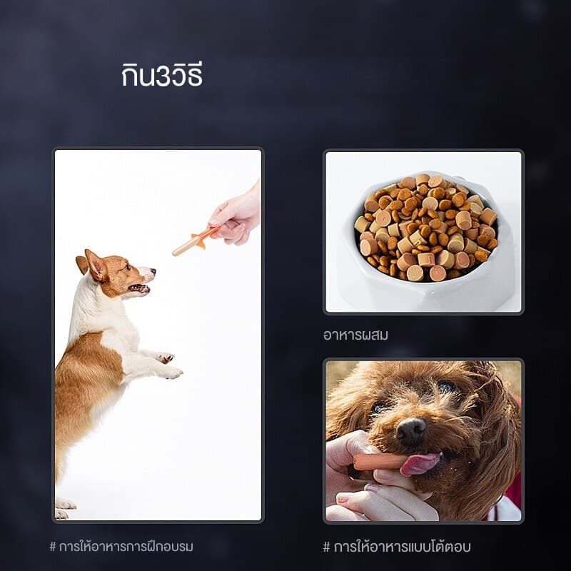 ไส้กรอกแฮมสุนัขอาหารหมา อาหารแมว ขนมแมว ขนมสุนัขแปรรูปจากเนื้อ เป็ด ไก่ ปลา Dog Food Dog Snacks รูปที่ 8