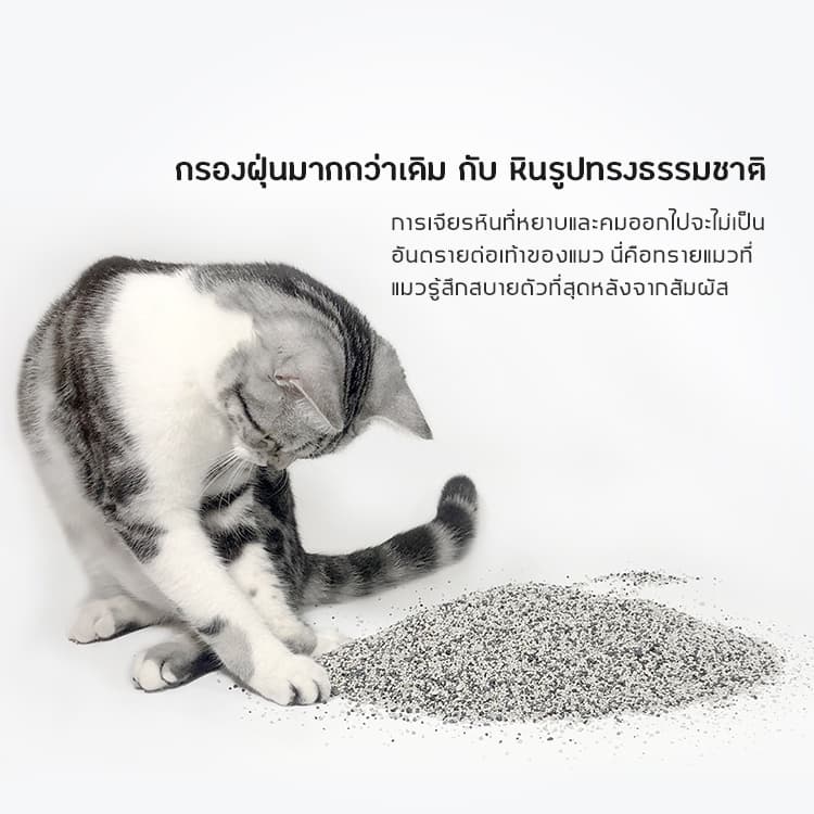 ทรายแมว SOOZAND ขนาด 10 ลิตร / 1 ถุง รูปที่ 7