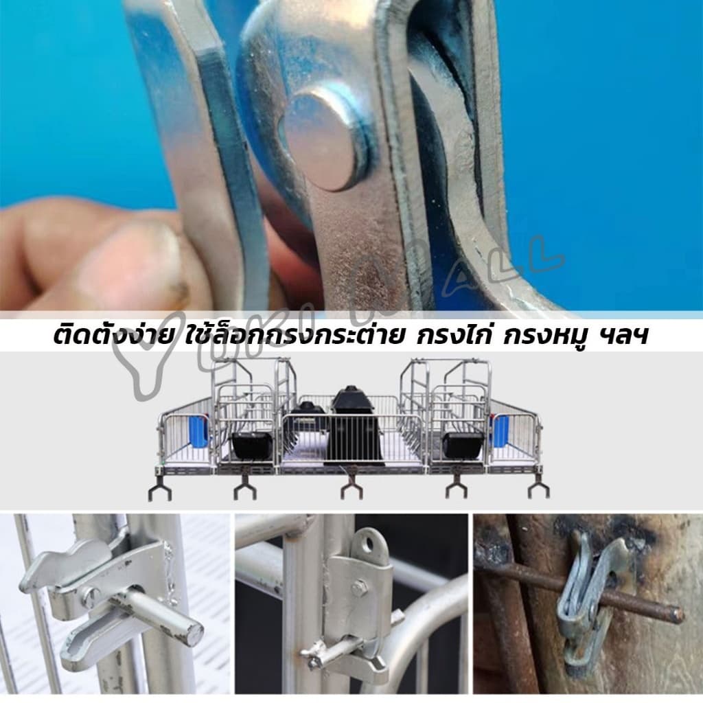 Yuki กลอนล็อคกรง หมู สุนัข หมู กลอนคอกหมู ประตู แบบหางปลา Pig Door Latch Lock รูปที่ 7