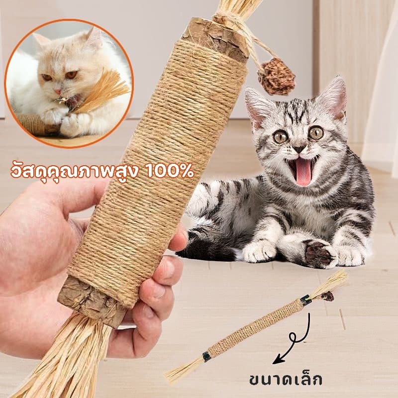 ไม้มาทาทาบิ อันใหญ่มาก ไม้แมวเมา ของเล่นแมว ลดคราบหินปูน ก้านมาทาทาบิ รูปที่ 3