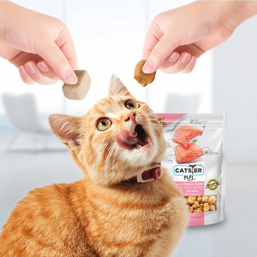 Catster Play ขนมแมว Freeze Dried ท็อปปิ้งฟรีซดรายสำหรับน้องแมว ชิ้นเนื้อแท้ ไม่ใส่เกลือวัตถุกันเสีย สี กลิ่นสังเคราะห์ รูปที่ 4