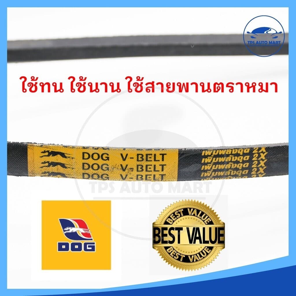 สายพานเกษตร สายพานรถไถ สายพานร่อง B40 B41 B42 B43 B44 B45 B46 B47 B48 B49 B50 B51 B52 B53 - B69 -ตราหมา รูปที่ 2