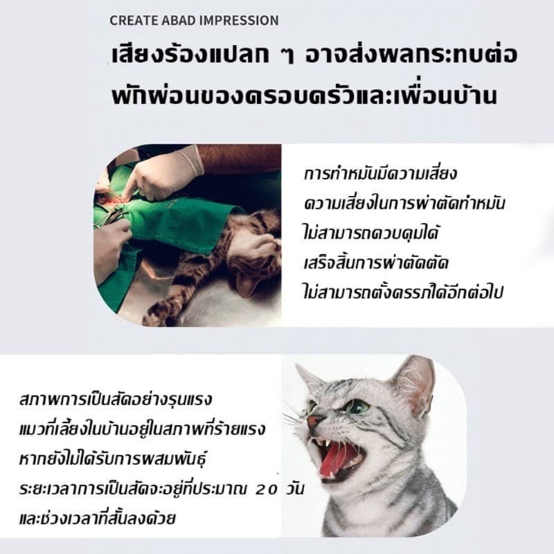 สเปรย์ฟีโรโมน น้ํายาป้องกันสัตว์เลี้ยงติดสัตว์ ลดอารมณ์ ไม่ต้องทํา สำหรับแมว ไม่ต้องทนเสียงดังหง่า รูปที่ 8