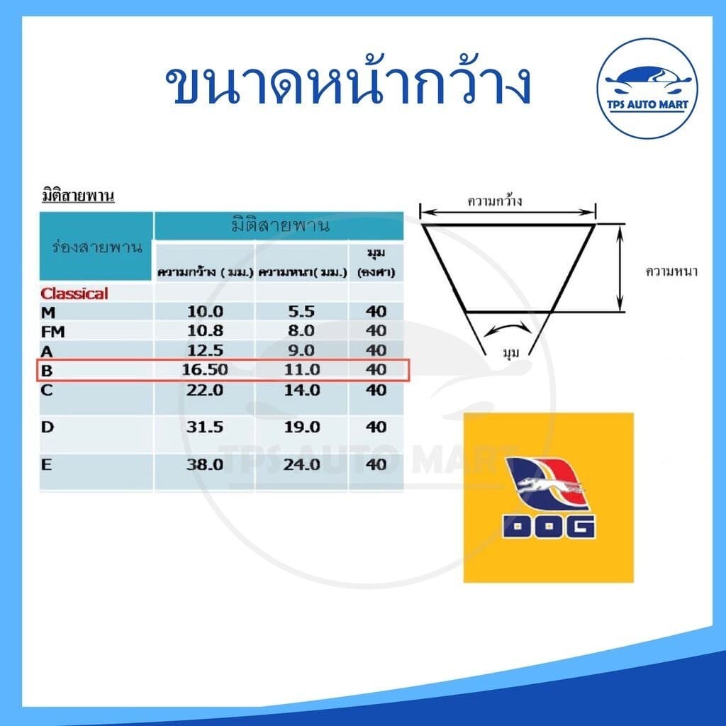 สายพานเกษตร สายพานรถไถ สายพานร่อง B40 B41 B42 B43 B44 B45 B46 B47 B48 B49 B50 B51 B52 B53 - B69 -ตราหมา รูปที่ 3