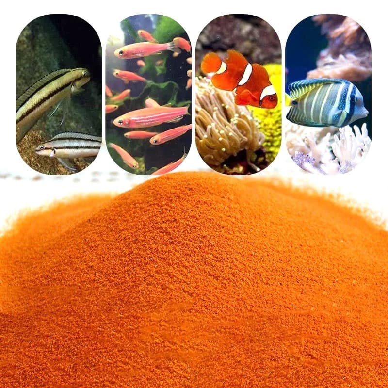 50g/100g อาร์ทีเมีย ฟอกเปลือก ให้ปลากินได้ทันที สำหรับอนุบาลลูกปลาและปลาขนาดเล็ก หรือ ใช้สำหรับบำรุงพ่อแม่พันธ์ุ รูปที่ 3