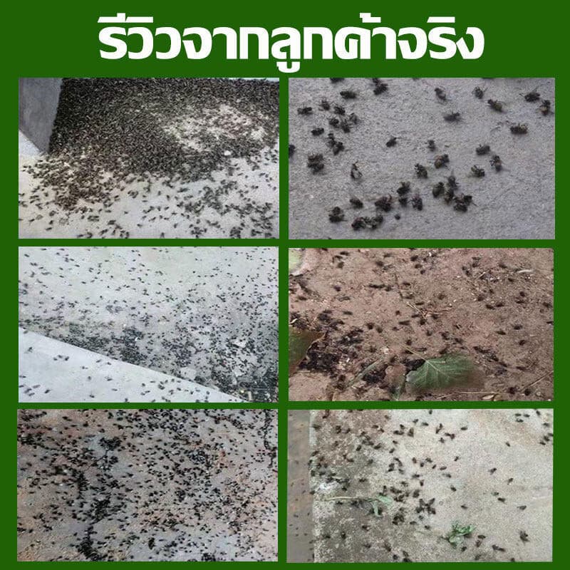 ไล่ยุงคอกวัว กำจัดแมลงวัน ยุง เห็บ มด เหา หมัด แมลง อัตราการฆ่า100% ยาไล่แมลงในวัว ฉีดในคอกสัตว์ได้ รูปที่ 5