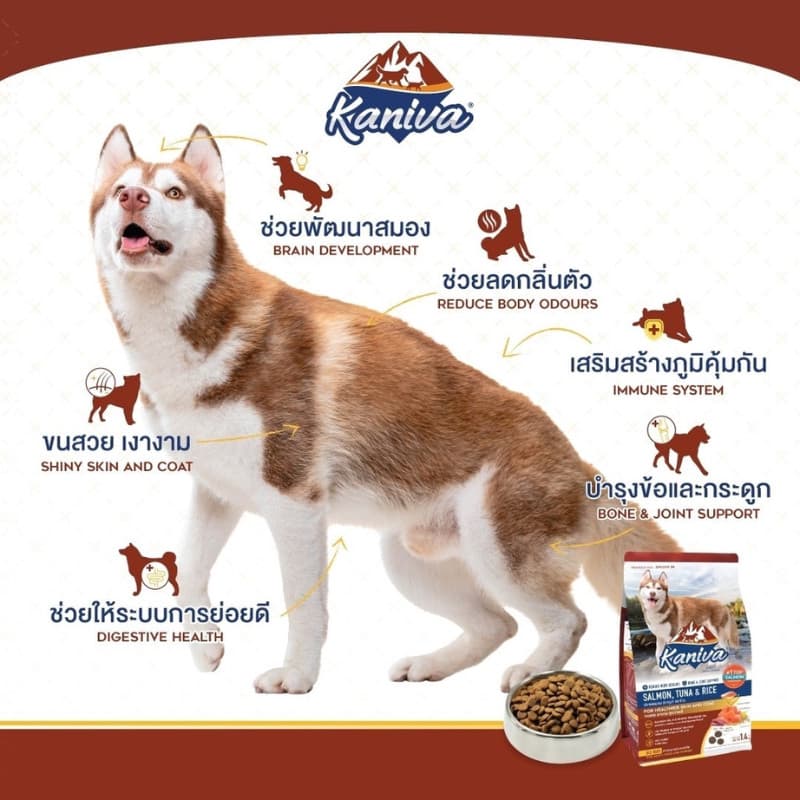 Kaniva อาหารเม็ดสุนัขคานิว่า อาหารสุนัข เกรดพรีเมี่ยม สุนัขทุกช่วงวัย ขนาด 1.3-1.5 kg รูปที่ 6