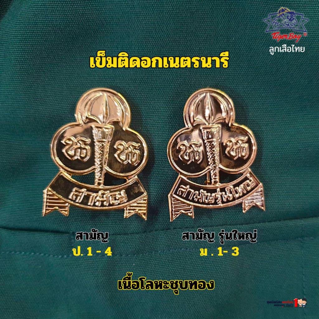 เข็มติดหน้าอก เนตรนารี ประถม - มัธยม รูปที่ 1