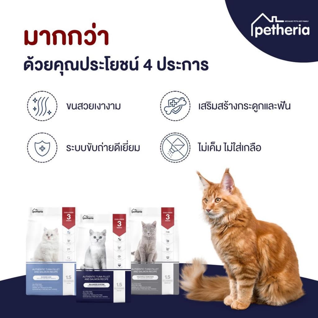 Petheria อาหารแมวเพ็ทเทอเรีย ขนาด 1.5kg ลูกแมว แมวโต Gluten-free ไม่เติมเกลือ รูปที่ 7