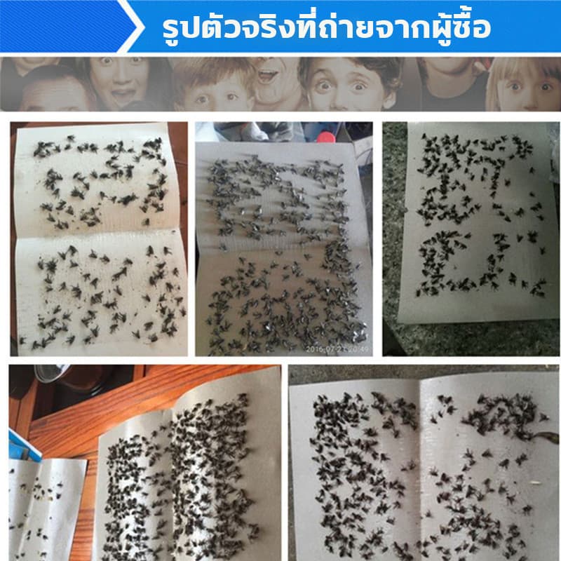 กาวดักแมลงวัน ไล่แมลงวัน 100แผ่น ติดแมลงวันตัวใหญ่ ใช้งานง่าย กาวแน่น กาวเต็มแผ่น มีสารล่อแมลง รูปที่ 5