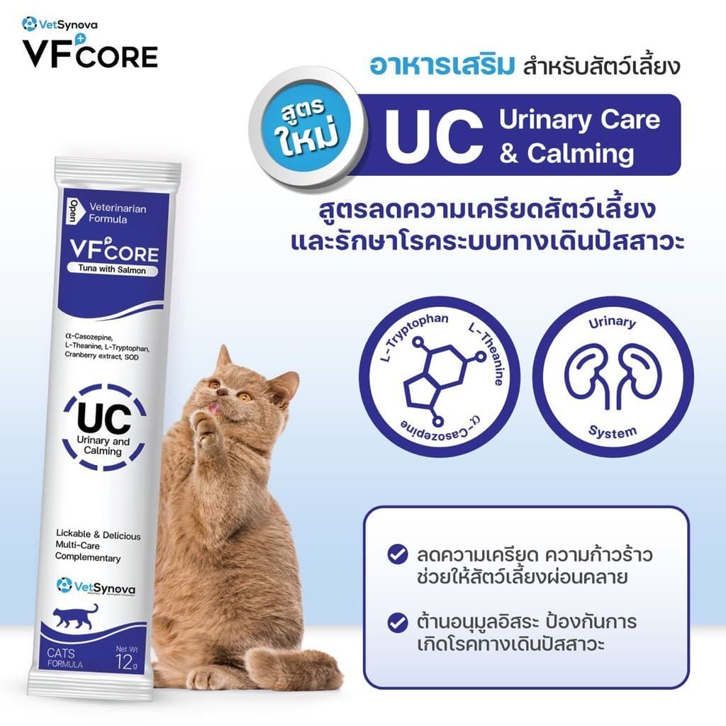 VFcore แมวเลีย วิตามินแมว อาหารเสริม ไลซีน วิตามินรวม แบ่งขายแบบซอง 12g รูปที่ 4