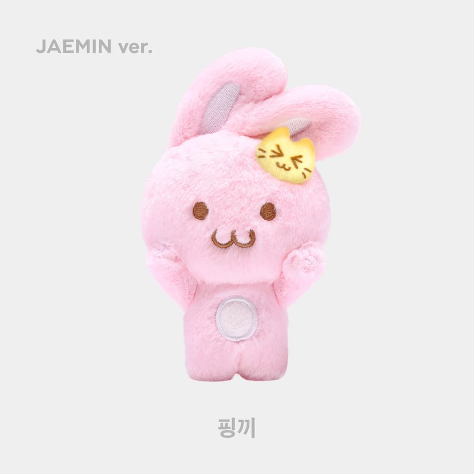 Kpop NCT Dream Phase II แฟลชม็อบตุ๊กตาพวงกุญแจกระเป๋า Charm Plush รูปที่ 7