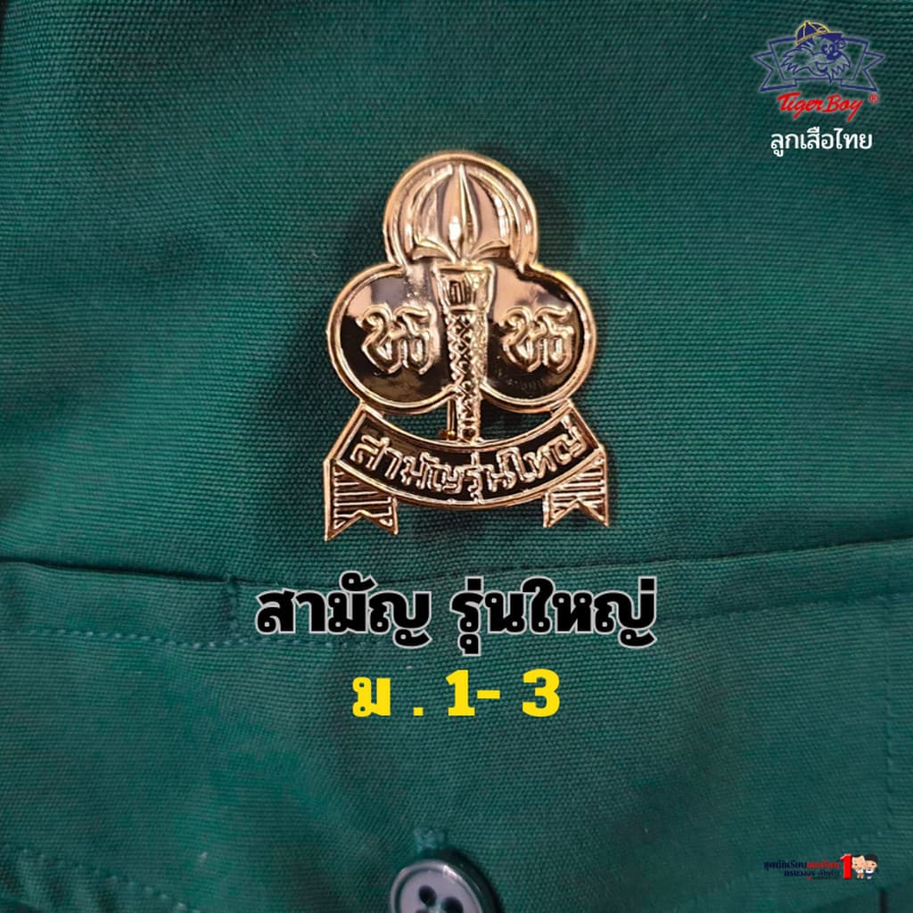 เข็มติดหน้าอก เนตรนารี ประถม - มัธยม รูปที่ 3