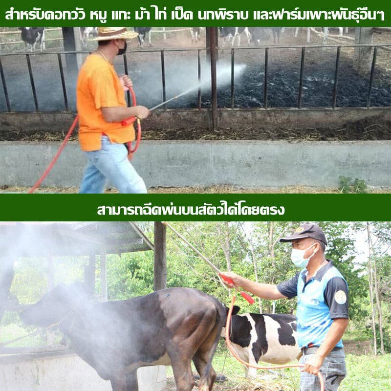 ไล่ยุงคอกวัว กำจัดแมลงวัน ยุง เห็บ มด เหา หมัด แมลง อัตราการฆ่า100% ยาไล่แมลงในวัว ฉีดในคอกสัตว์ได้ รูปที่ 3