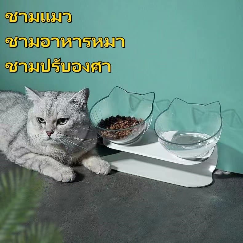 ชามแมว ชามอาหารหมา ชามใส่อาหารสำหรับสัตว์เลี้ยง ชามปรับองศา รูปที่ 1