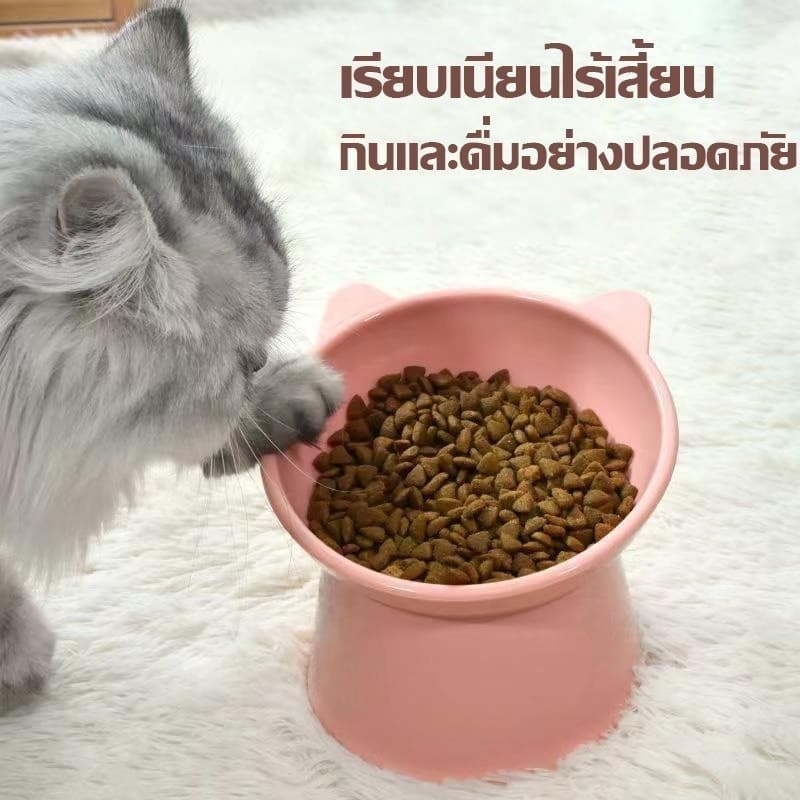 YTL CODชามอาหารสัตว์เลี้ยง ชามอาหารหมา มีขอบยางกันลื่น รูปที่ 5